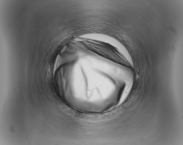 X0000111680037200908071434