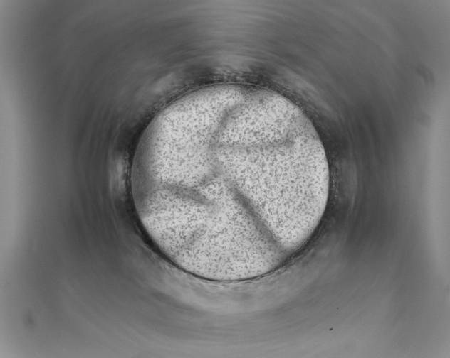 X0000111680038200908071434