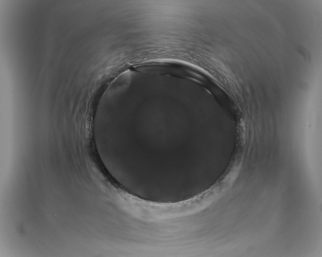 X0000111680039200908071434