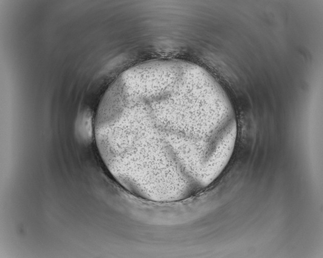 X0000111680042200908071433