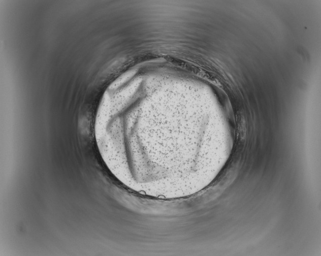 X0000111680044200908071433