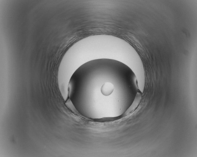 X0000111680045200908071433