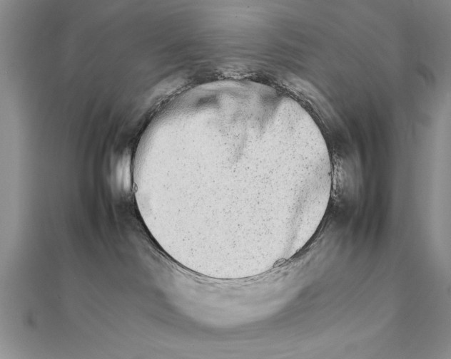 X0000111680046200908071433