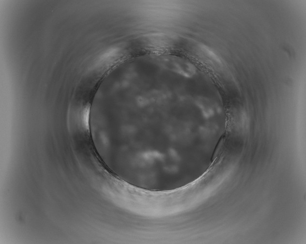 X0000111680047200908071433