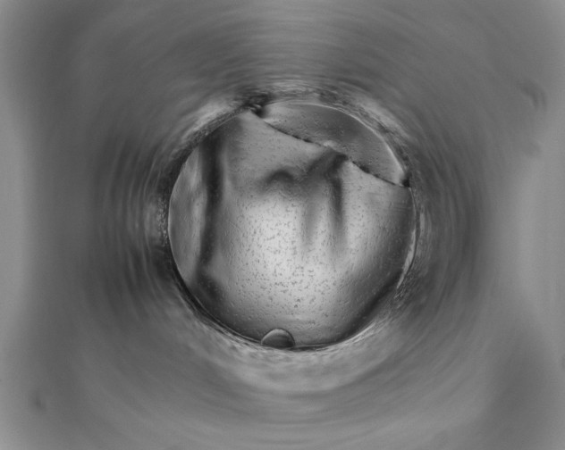 X0000111680048200908071433