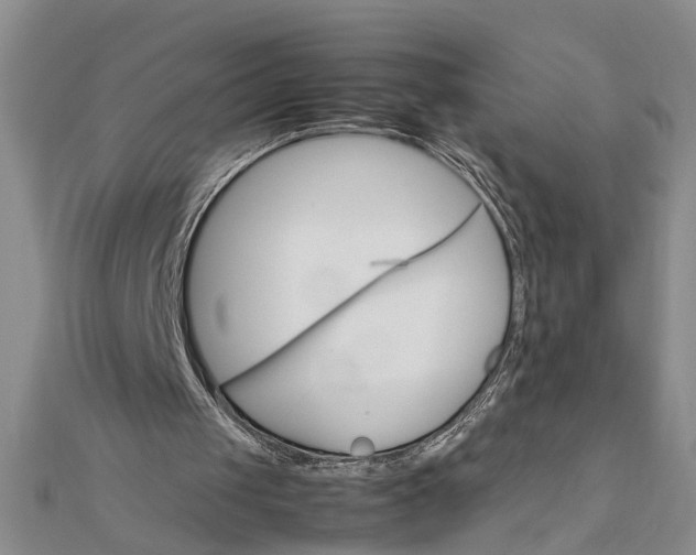 X0000111680049200908071433