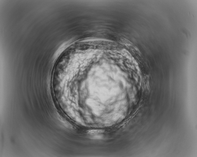 X0000111680051200908071433