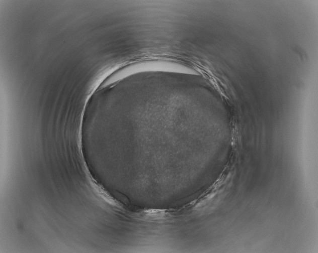 X0000111680052200908071433