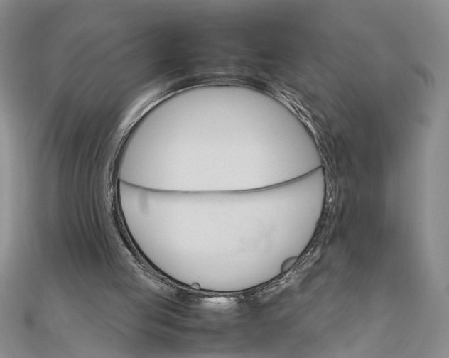 X0000111680053200908071433