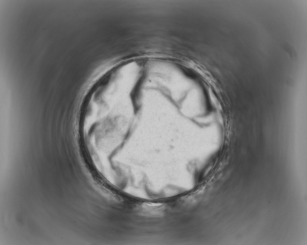 X0000111680055200908071433