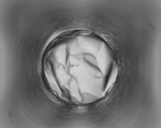 X0000111680056200908071433