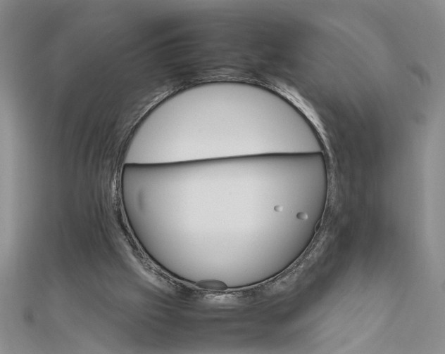 X0000111680057200908071433