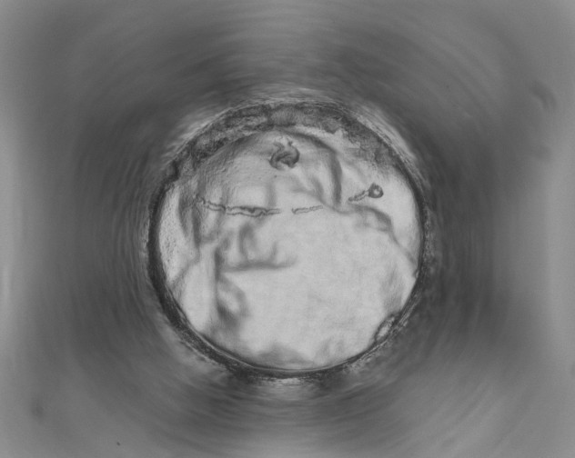 X0000111680058200908071433