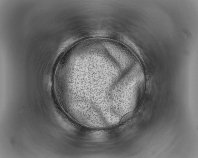 X0000111680059200908071433