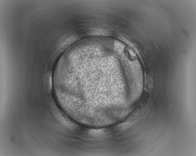 X0000111680061200908071433