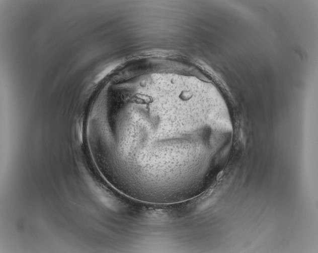 X0000111680062200908071433