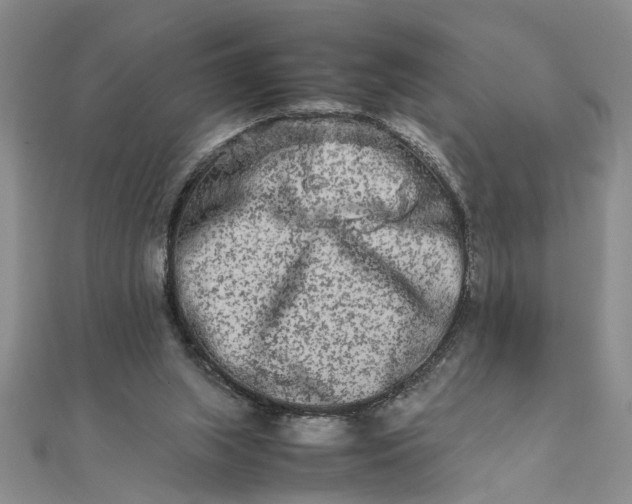 X0000111680063200908071433