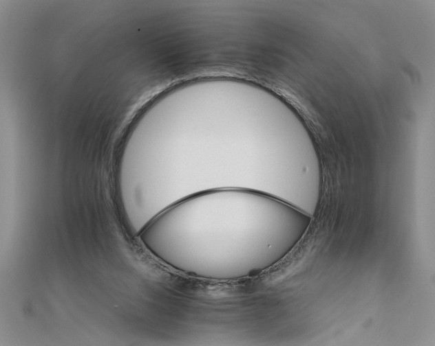 X0000111680064200908071433