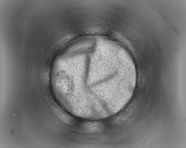 X0000111680065200908071433