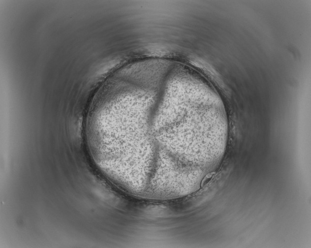 X0000111680066200908071433