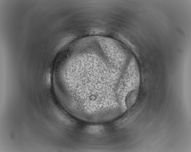 X0000111680067200908071433