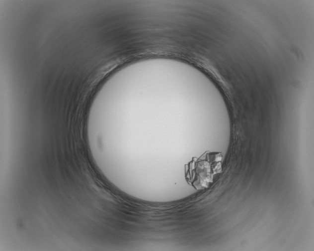 X0000111680068200908071433