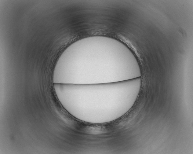 X0000111680069200908071433