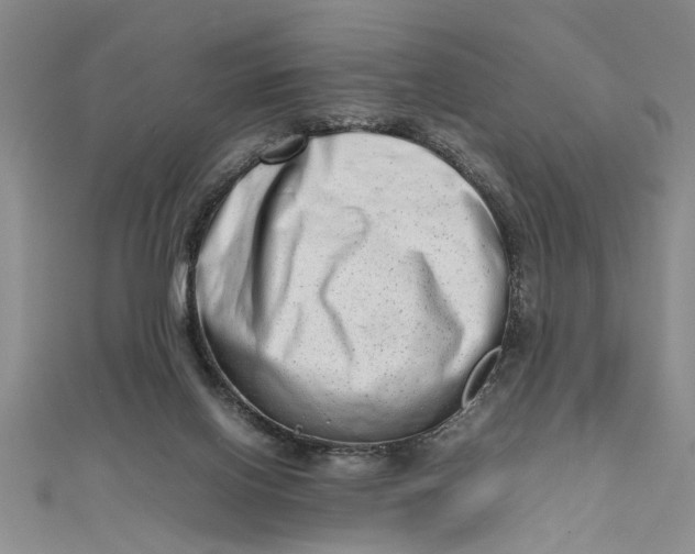 X0000111680070200908071433