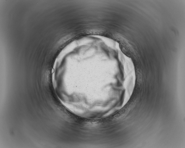 X0000111680071200908071433