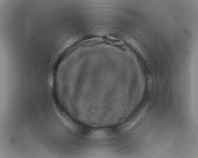 X0000111680072200908071433