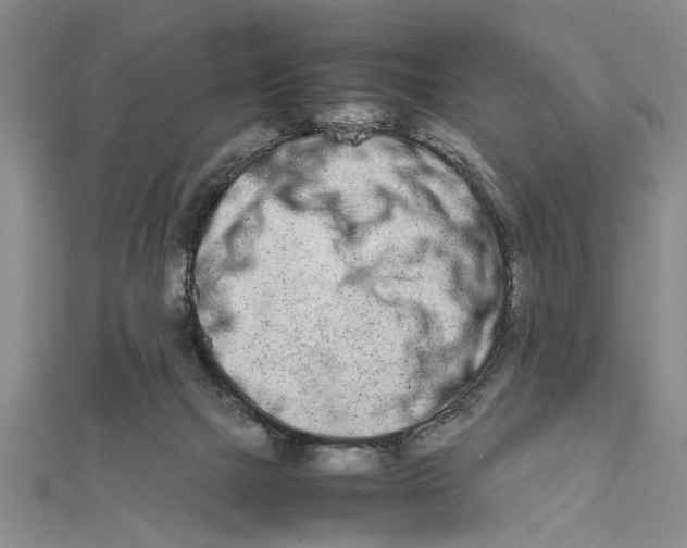 X0000111680073200908071433