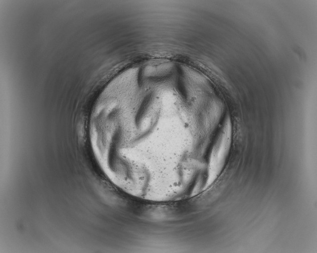 X0000111680074200908071433