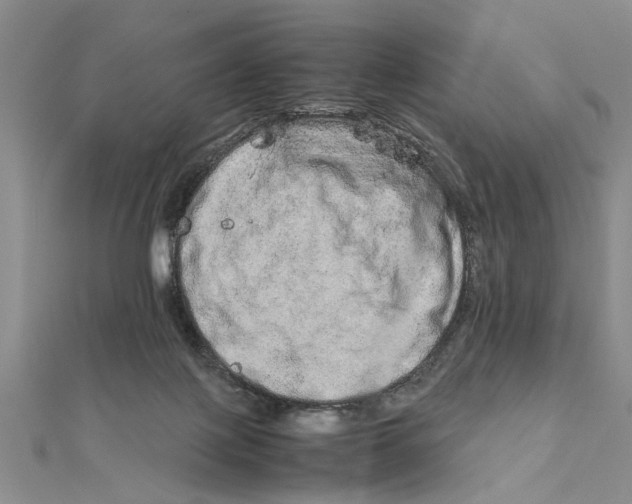 X0000111680075200908071433