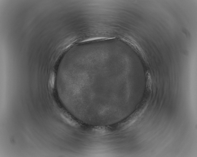 X0000111680076200908071433