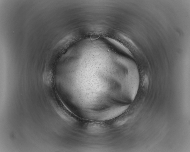 X0000111680077200908071433