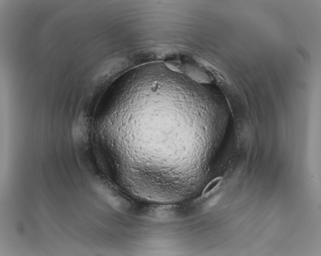 X0000111680078200908071433