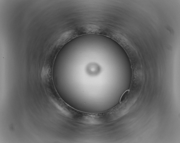 X0000111680079200908071433