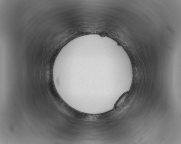 X0000111680080200908071433