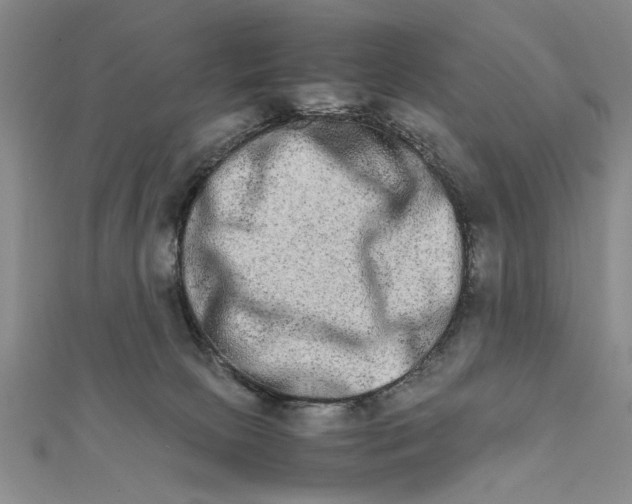 X0000111680081200908071433