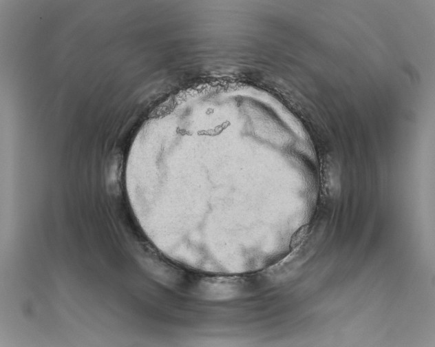 X0000111680082200908071433