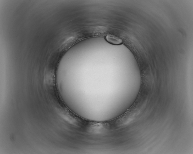 X0000111680083200908071433