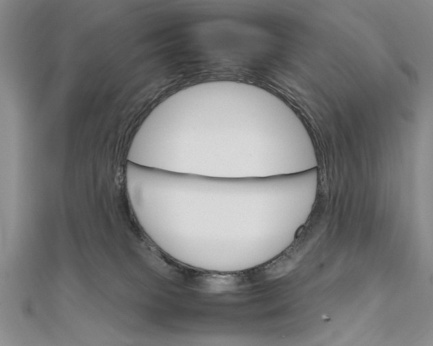 X0000111680085200908071433