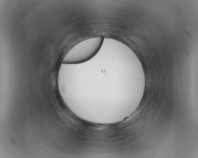 X0000111680086200908071433