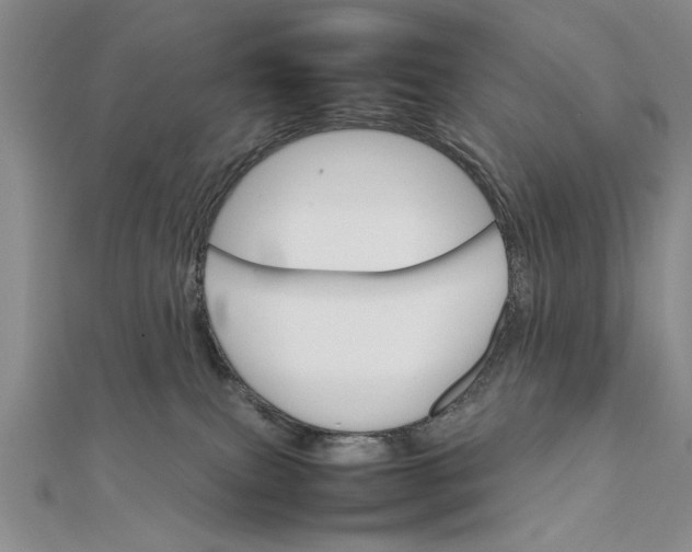 X0000111680087200908071433