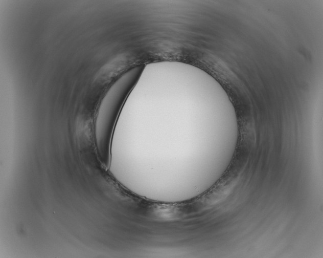 X0000111680088200908071433