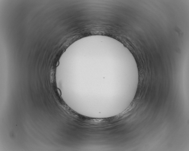 X0000111680090200908071433