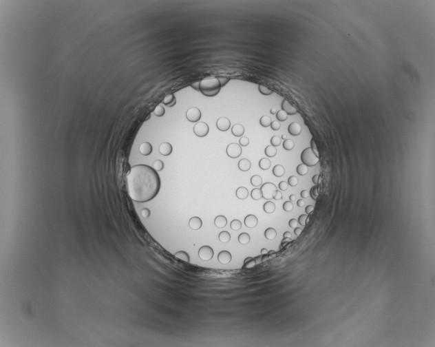 X0000111680093200908071433