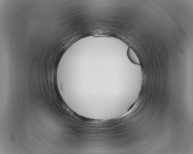 X0000111680094200908071433