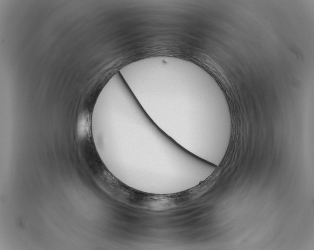 X0000111680095200908071433