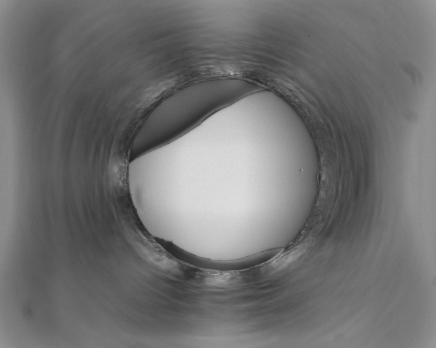 X0000111680096200908071433